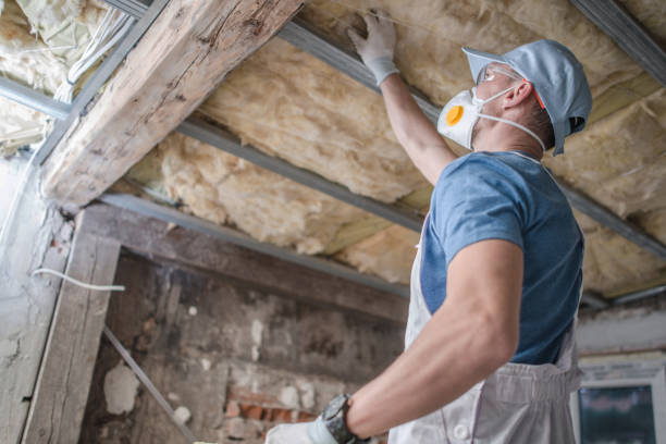 Best Spray Foam Insulation in Holstein, IA